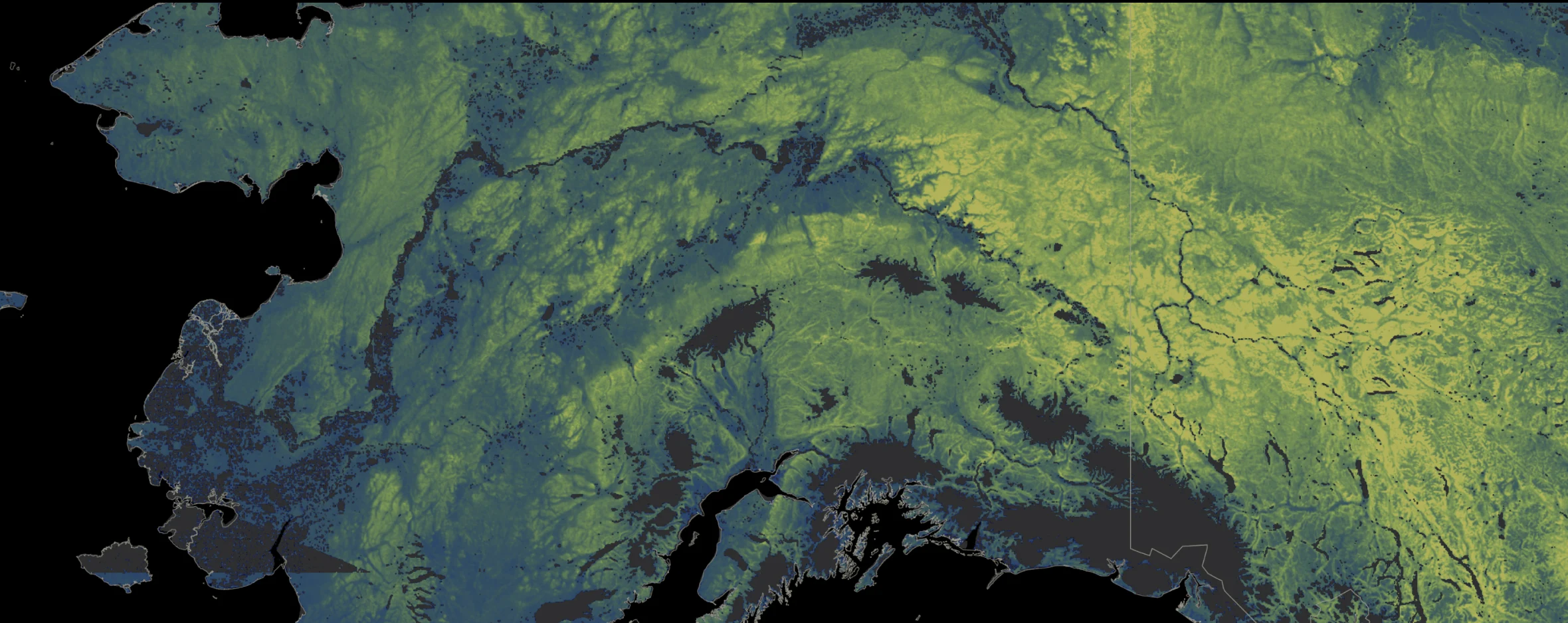 Mycorrhizal Networks